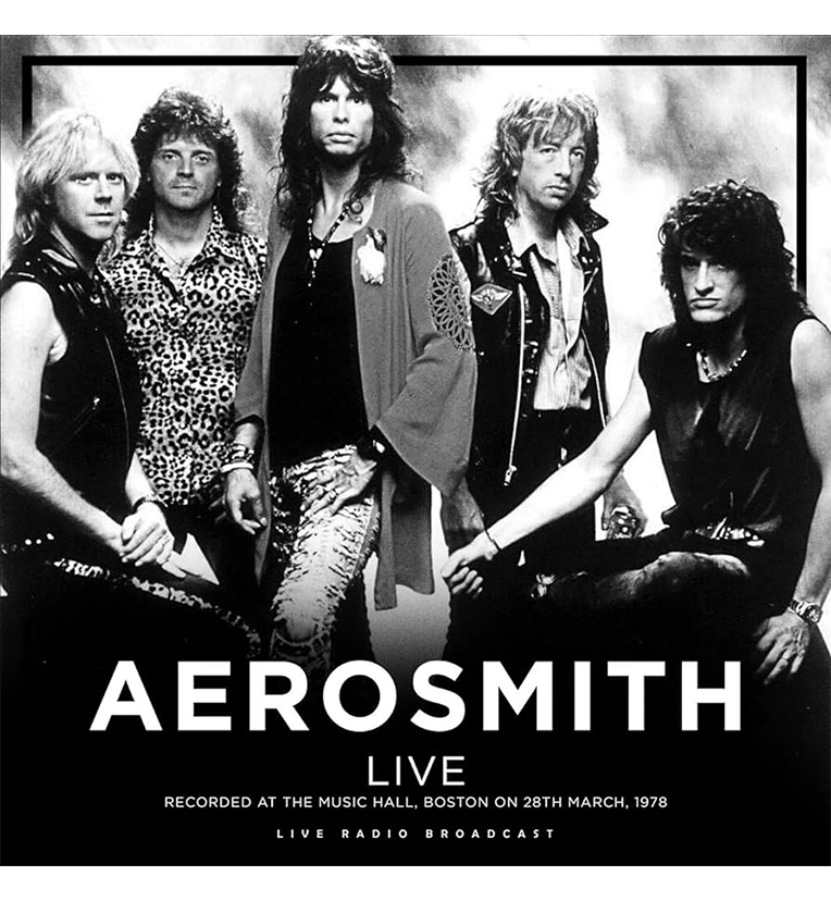 Vinyl Record sleeve featuring a stylised black and white image of Aerosmith